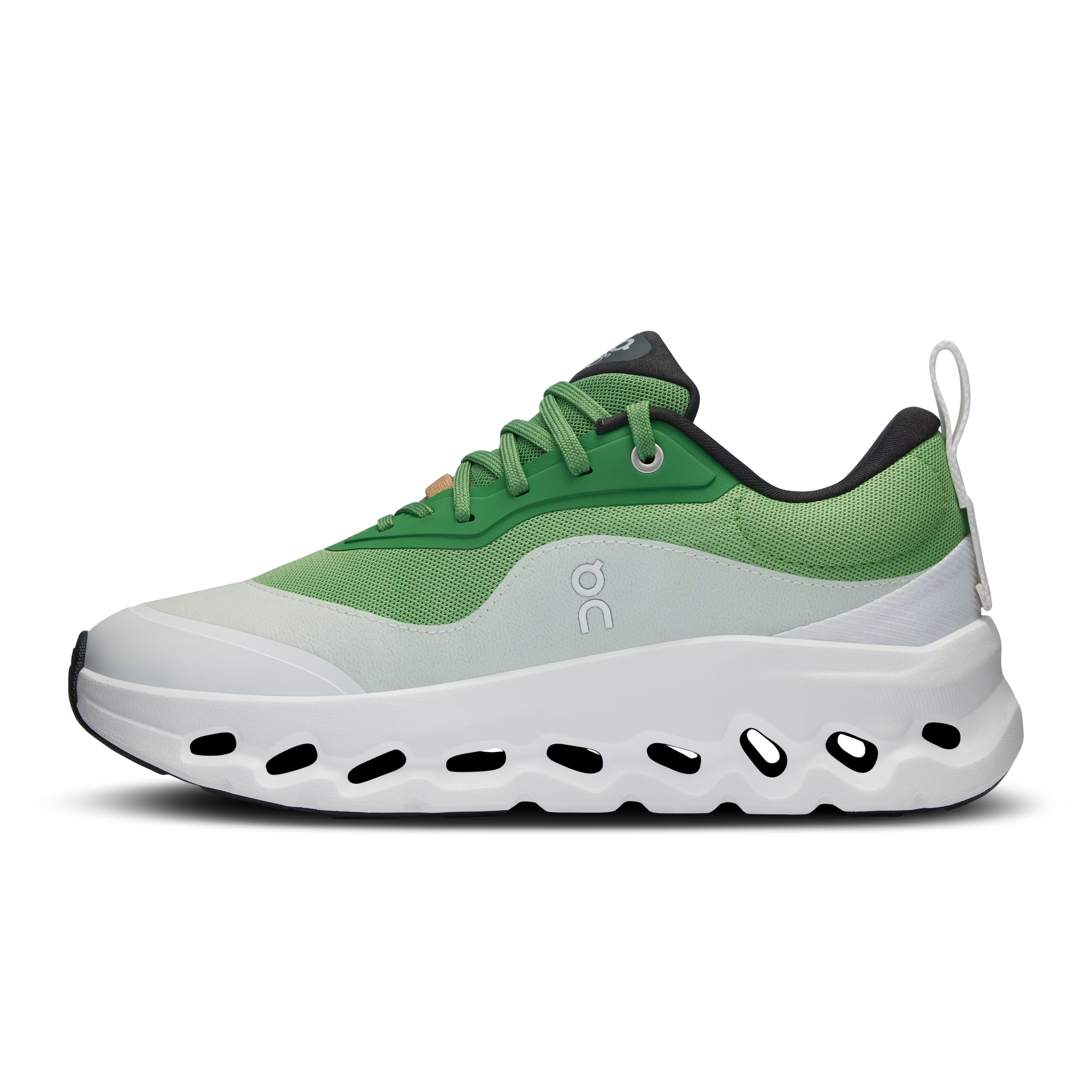 CT. x LW - Wom