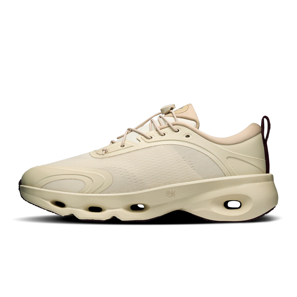 CS x LW