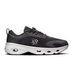 CS x LW
