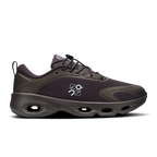 CS x LW