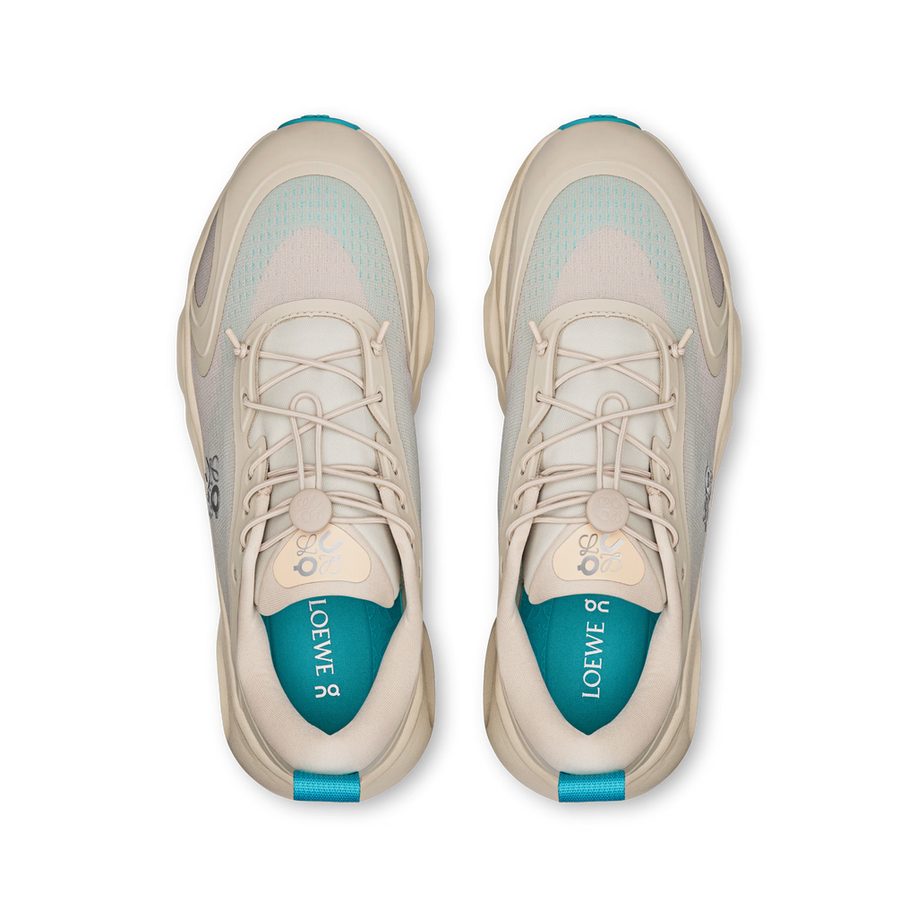 CS x LW