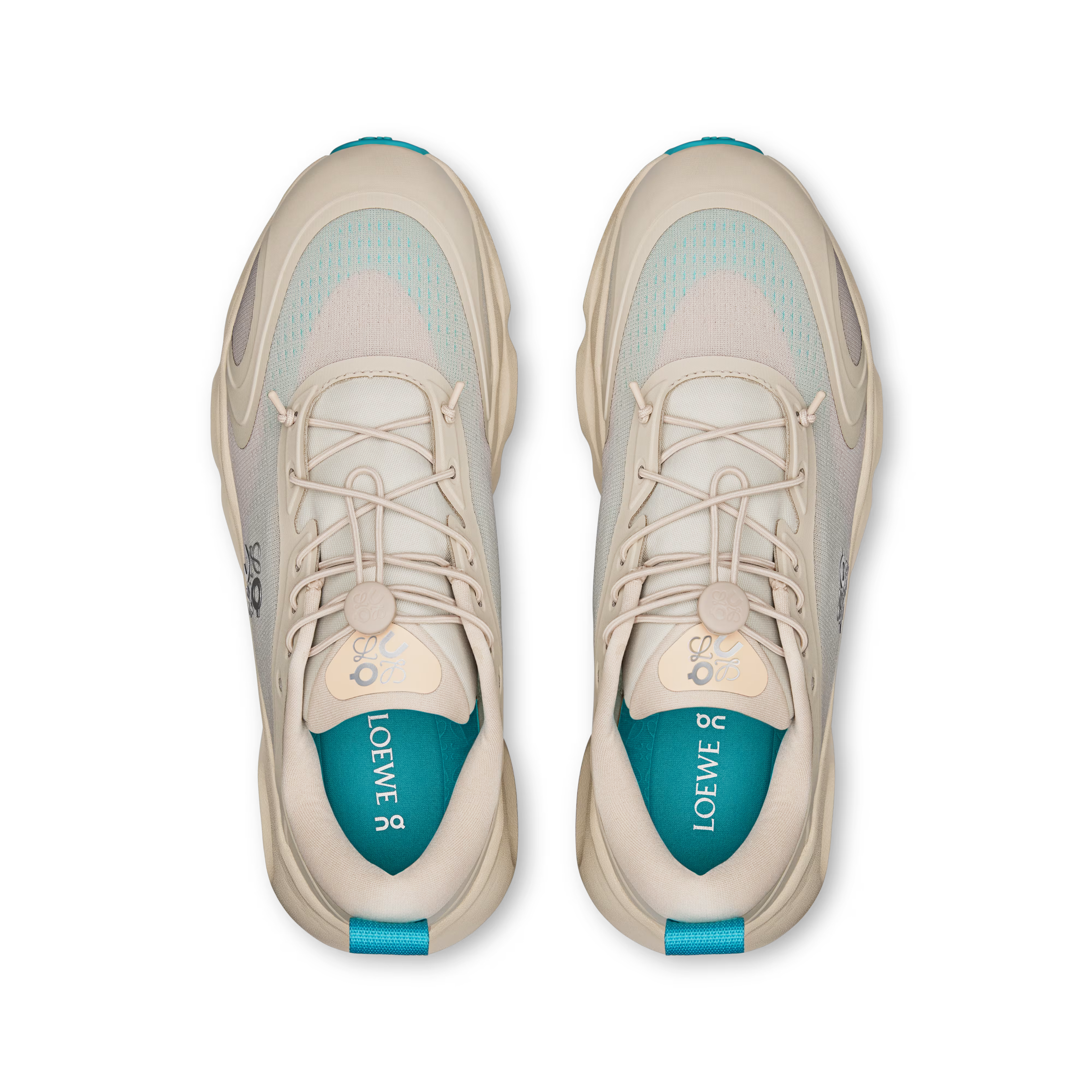 CS x LW
