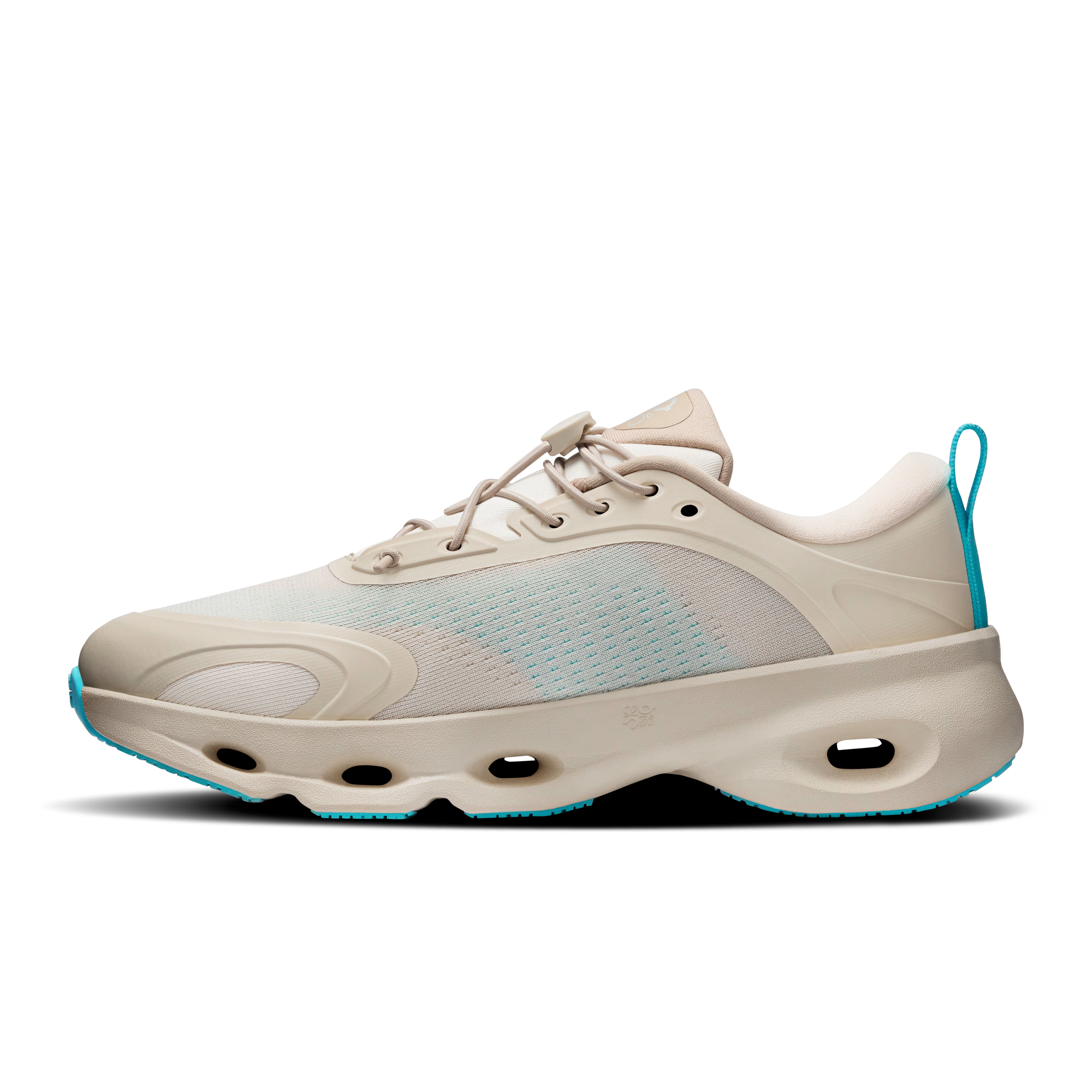 CS x LW