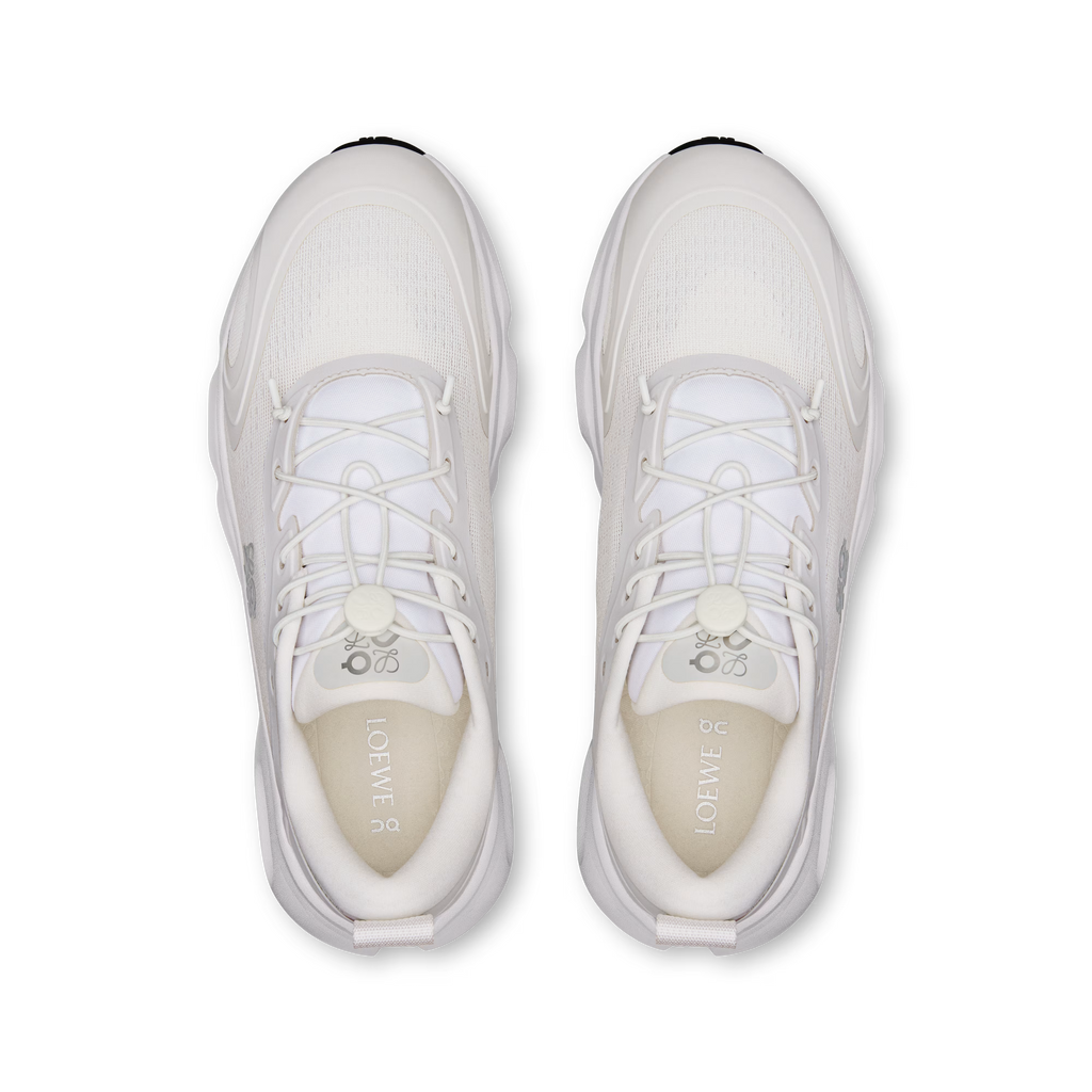 CS x LW