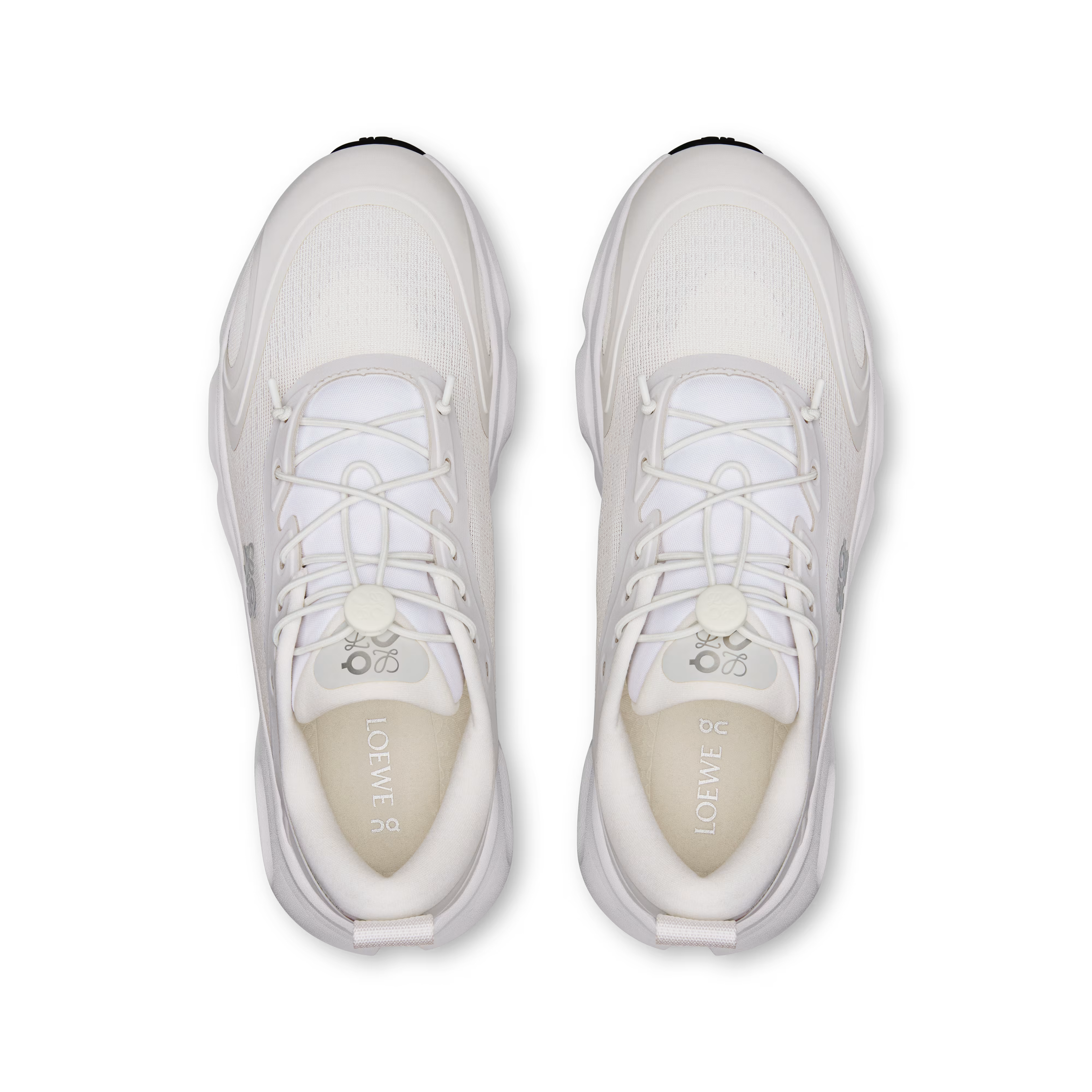 CS x LW