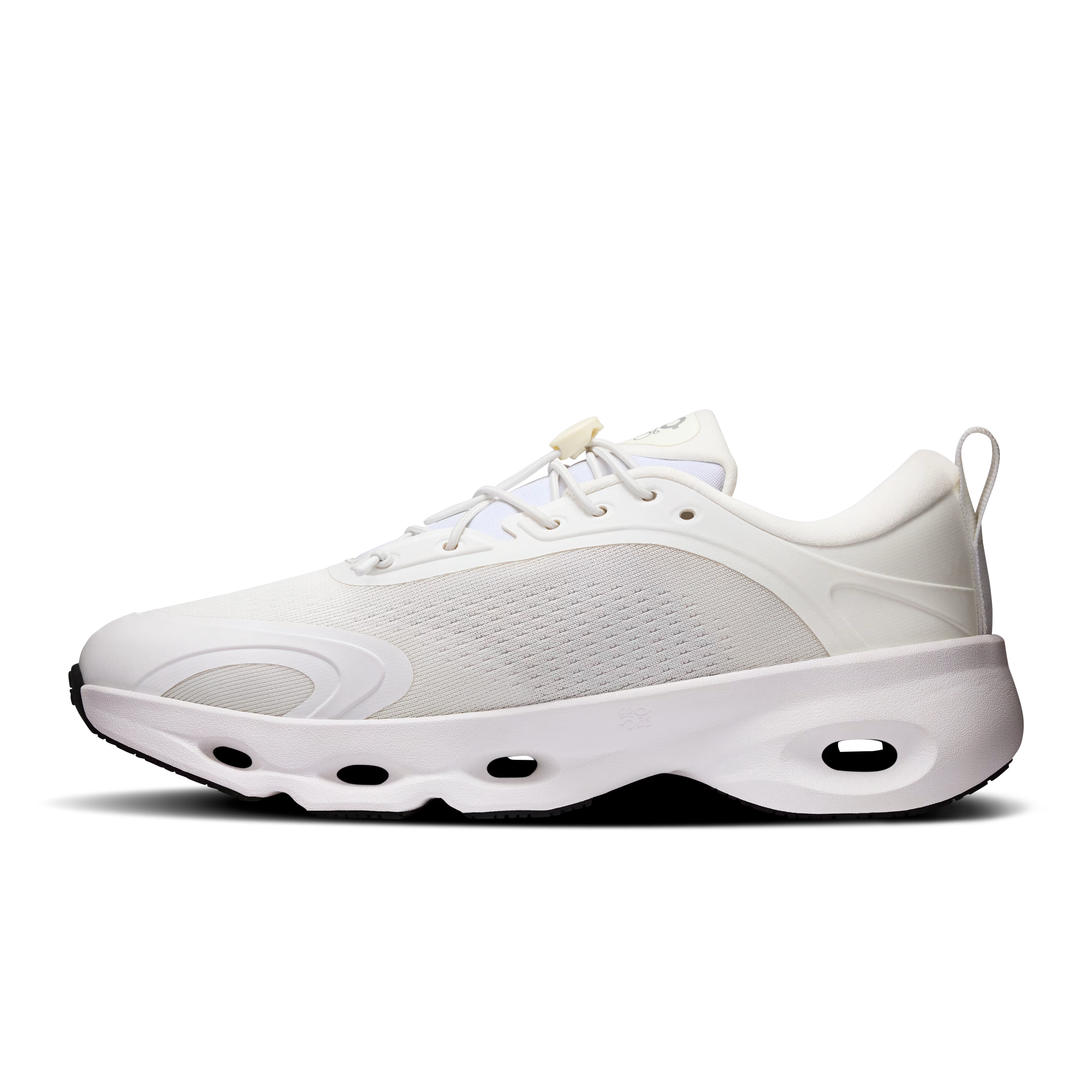 CS x LW